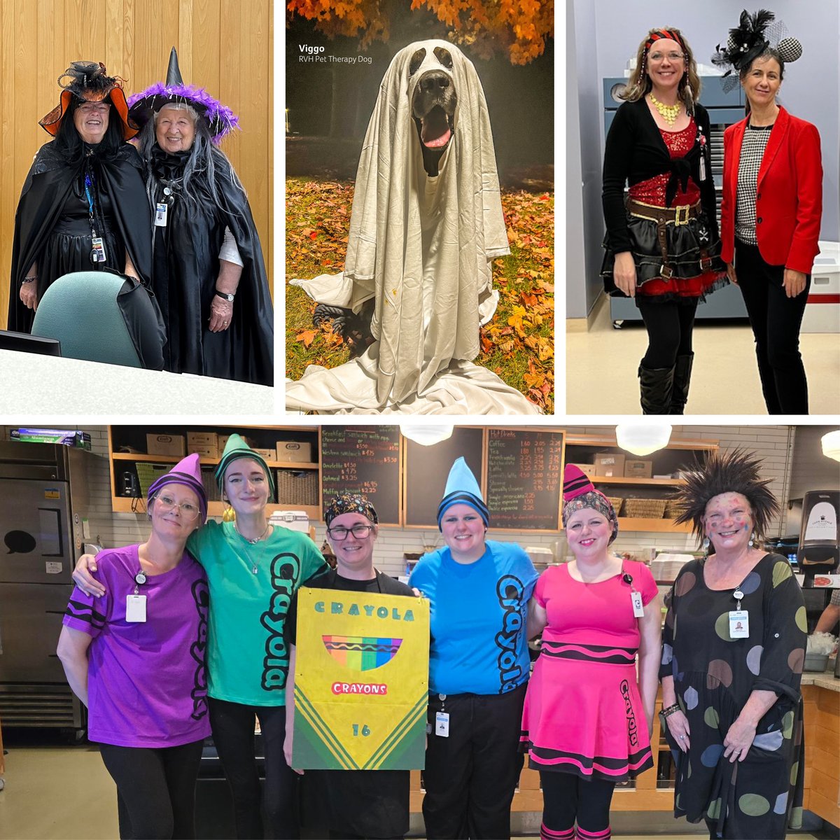 From all of us at Team RVH, have a safe and happy Halloween! 🎃
