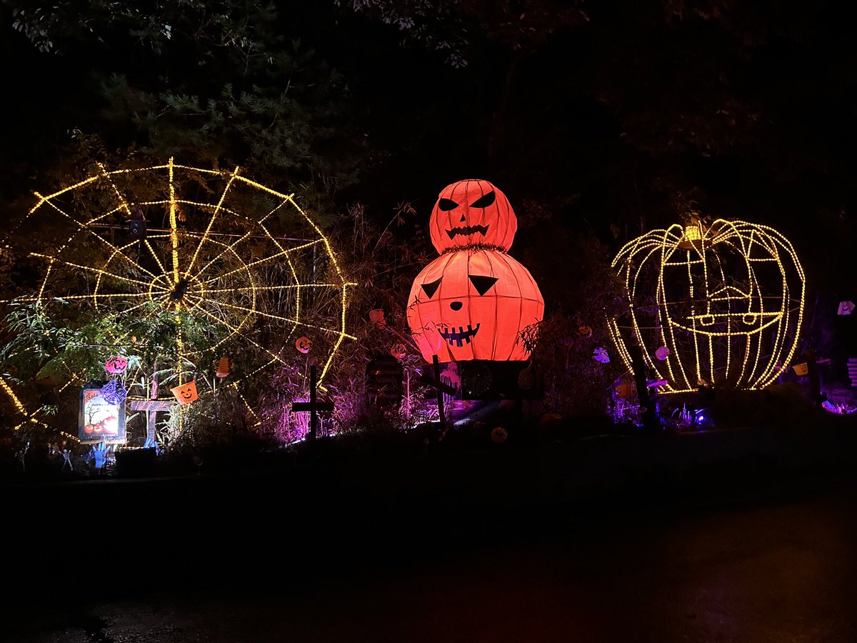 🎃Happy Halloween👻
