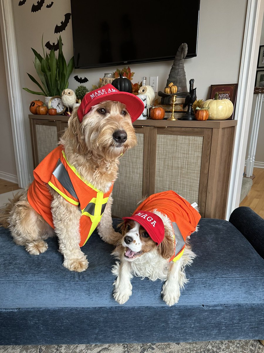 J_D_ffy's tweet photo. Happy Halloween from Joe Biden’s “garbage Trump supporters”😂🎃🍭 https://t.co/EPjNW7UjSf