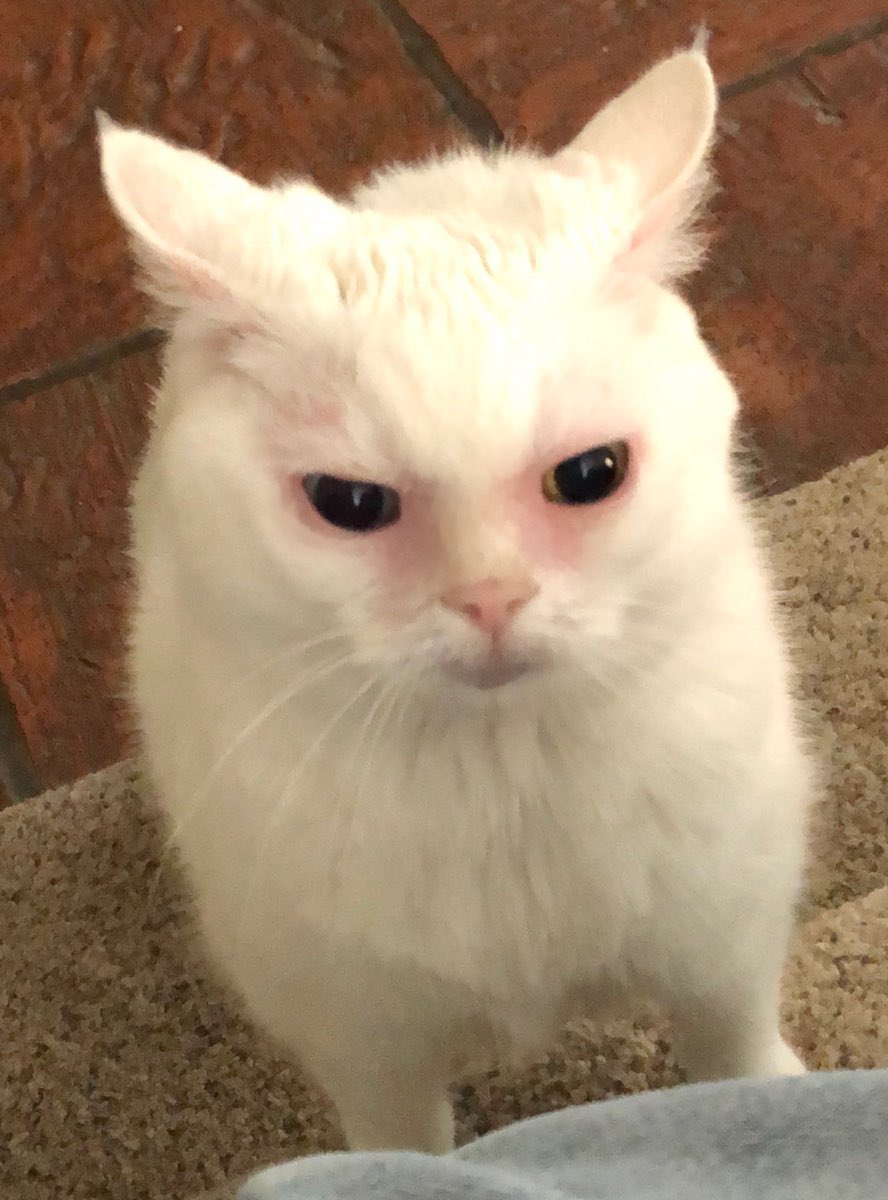 <a href="/mossacannibalis/">mossa🔞</a> Love her look. ☺️☺️☺️