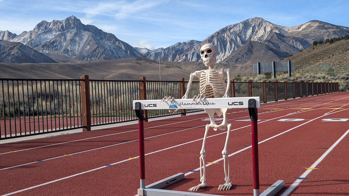 MammothTC's tweet photo. Mr. Bones is dead serious about his hurdle training. 💀🏃♂️ Happy Halloween from the track! #BoneToRun #HalloweenVibes #mammothtrackclub https://t.co/kify6Ofg2V