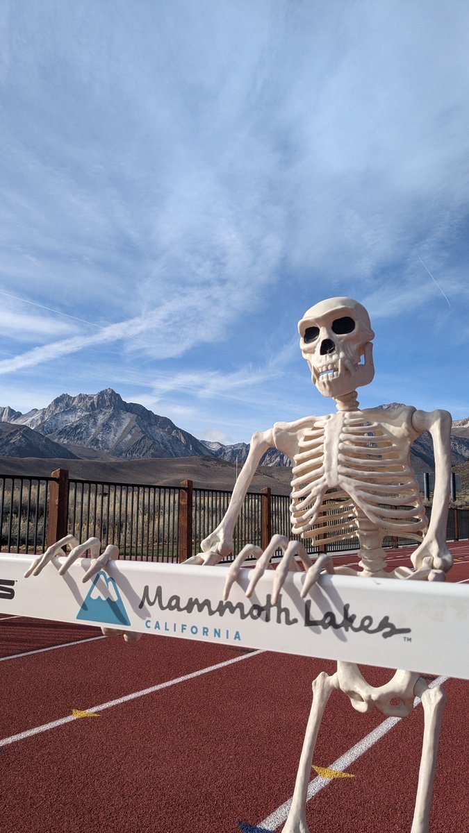 MammothTC's tweet photo. Mr. Bones is dead serious about his hurdle training. 💀🏃♂️ Happy Halloween from the track! #BoneToRun #HalloweenVibes #mammothtrackclub https://t.co/kify6Ofg2V