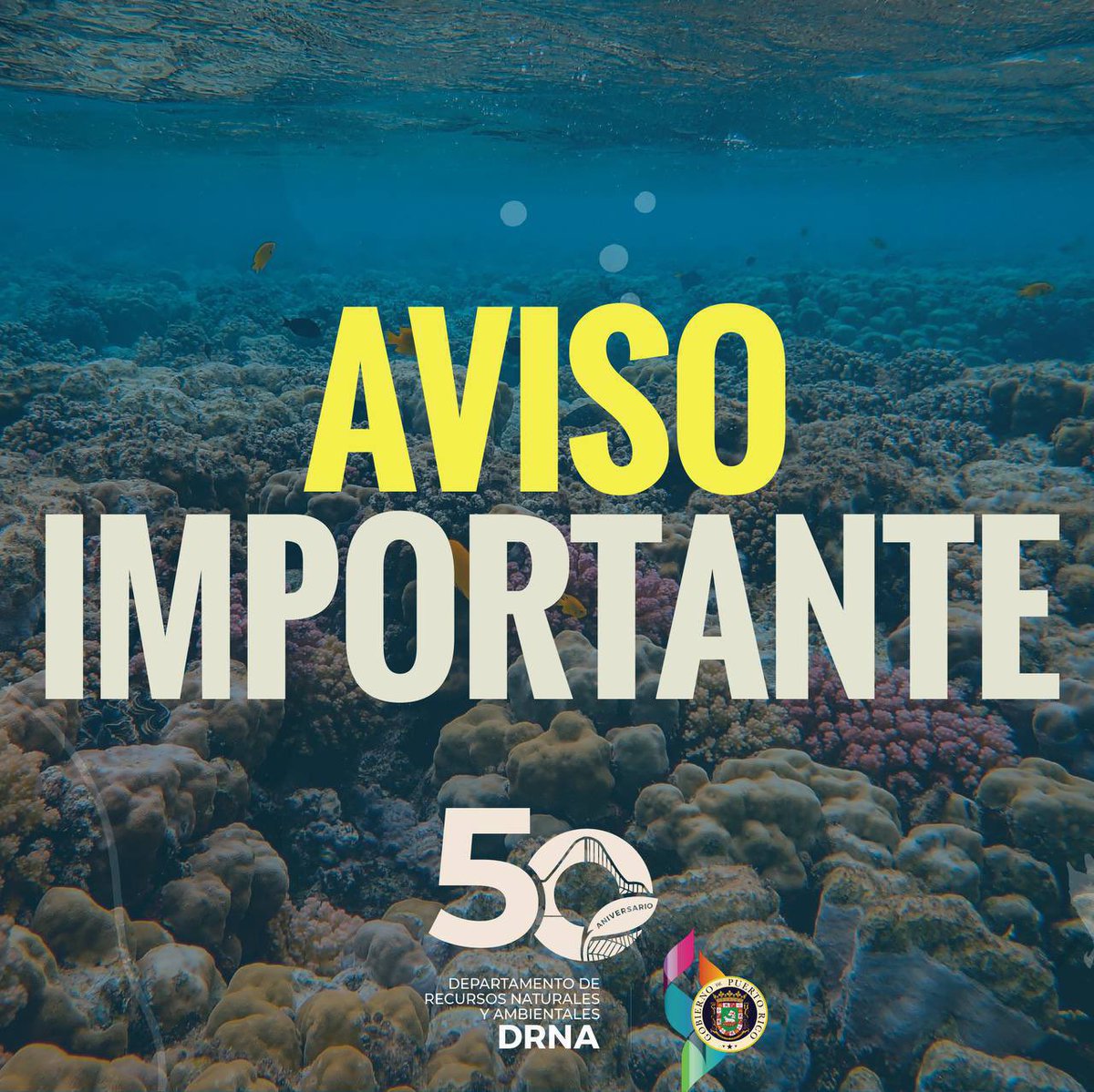 DRNAGPR's tweet photo. 🔴 CIERRE DE BALNEARIOS: Como resultado de las condiciones del tiempo, estos balnearios estarán cerrados mañana viernes: 
➡️ lLuquillo 
➡️ Dorado 
➡️ Cerro Gordo 
➡️ Guánica 

Anunciaremos cuándo abrirán, una vez el clima mejore. https://t.co/xWdfTelaxA