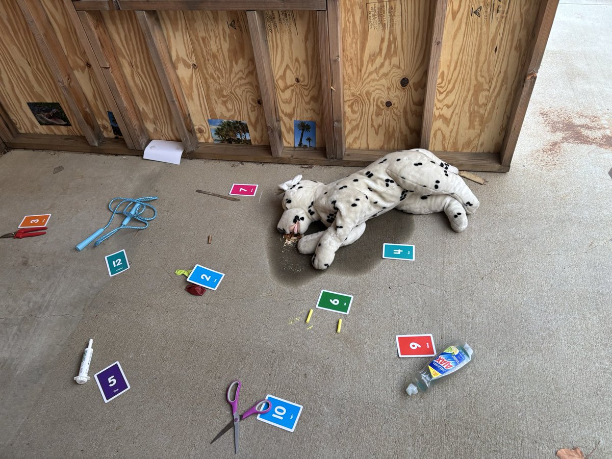 Vet Sci had a crime scene set up for Halloween. Students had to go through the scene &amp; get different measurement, perform parts of a necropsy to determine cause of death. We then talked about a necropsy report &amp; biosecurity tools used to stop disease spread. #PMvetscience