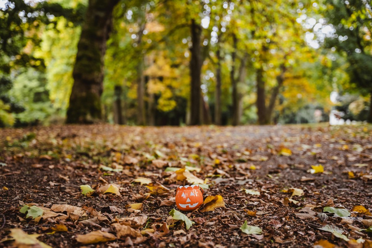 jetsetoffset's tweet photo. 🎃 Happy Halloween from Jet-Set Offset! 🎃
Have a safe, sustainable, and spooky night! 👻🌍

#jetsetoffset #sustainability #environmentalism #climatechange #nonprofitsfortheplanet #halloween #happyhalloween #trickortreat #pumpkin https://t.co/06m7kEpsIz