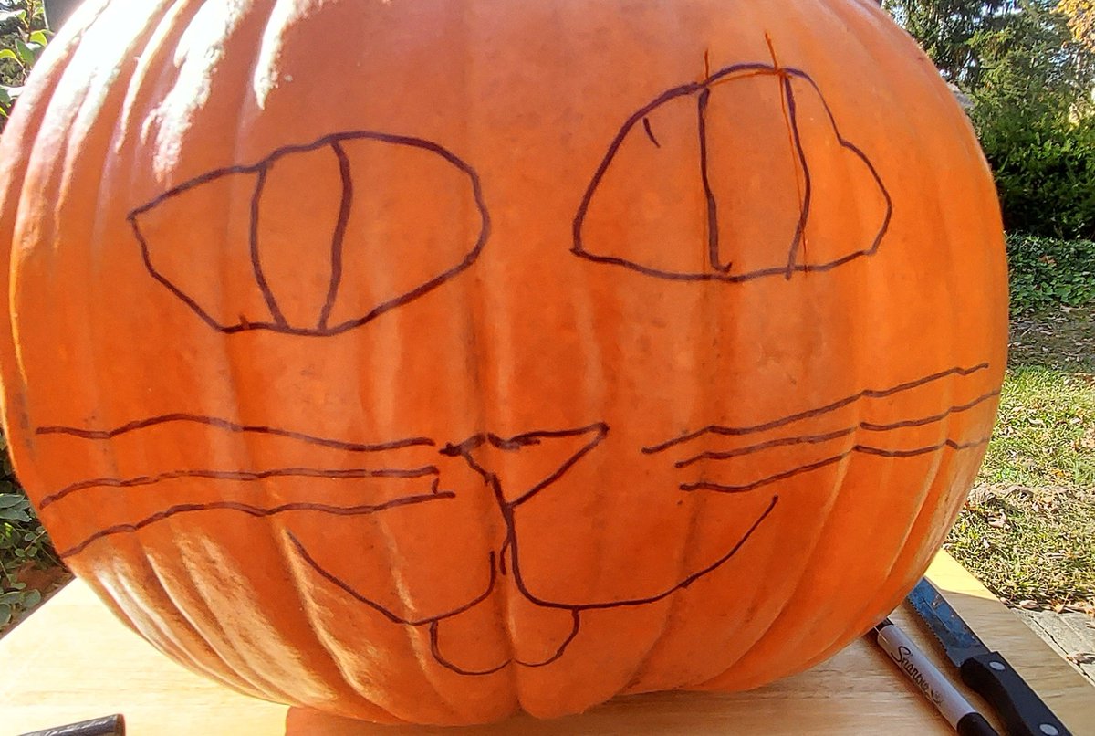 SmiskiBoy's tweet photo. 2024 pumpkin: Cat!!!

BEFORE                            AFTER https://t.co/3136Ztqlfc