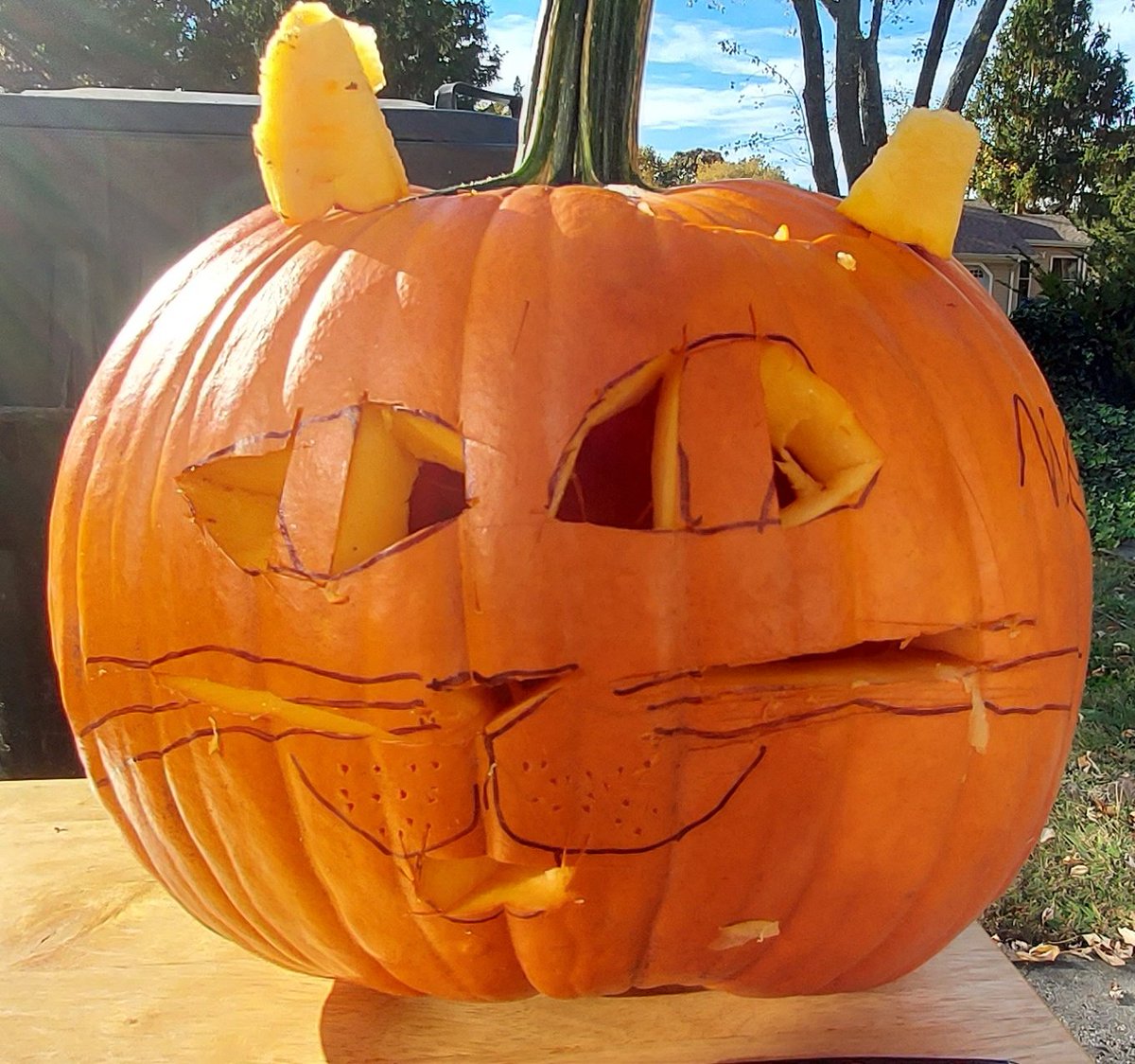 2024 pumpkin: Cat!!!

BEFORE                            AFTER