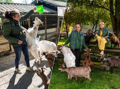 BNDeStemEL's tweet photo. Kinderboerderij De Sik sluit deuren per 1 januari https://t.co/V6zKpbcs5I https://t.co/qTyTmuShJp