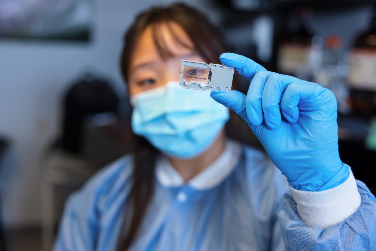 From anthropologists to law enforcement, Biology/FIS associate professor Susan Walsh's research on the genetic basis of human physical appearance and ancestry is used far and wide.

Discover the unique work <a href="/walshlabFDP/">walshlab</a> performs: news.iu.edu/live/news/3814…