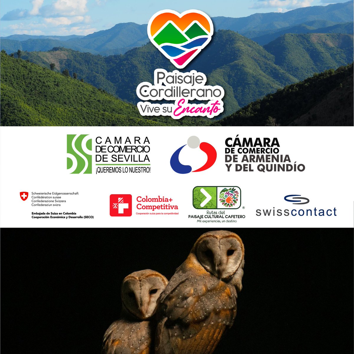 Rutas del PCC tweet media
