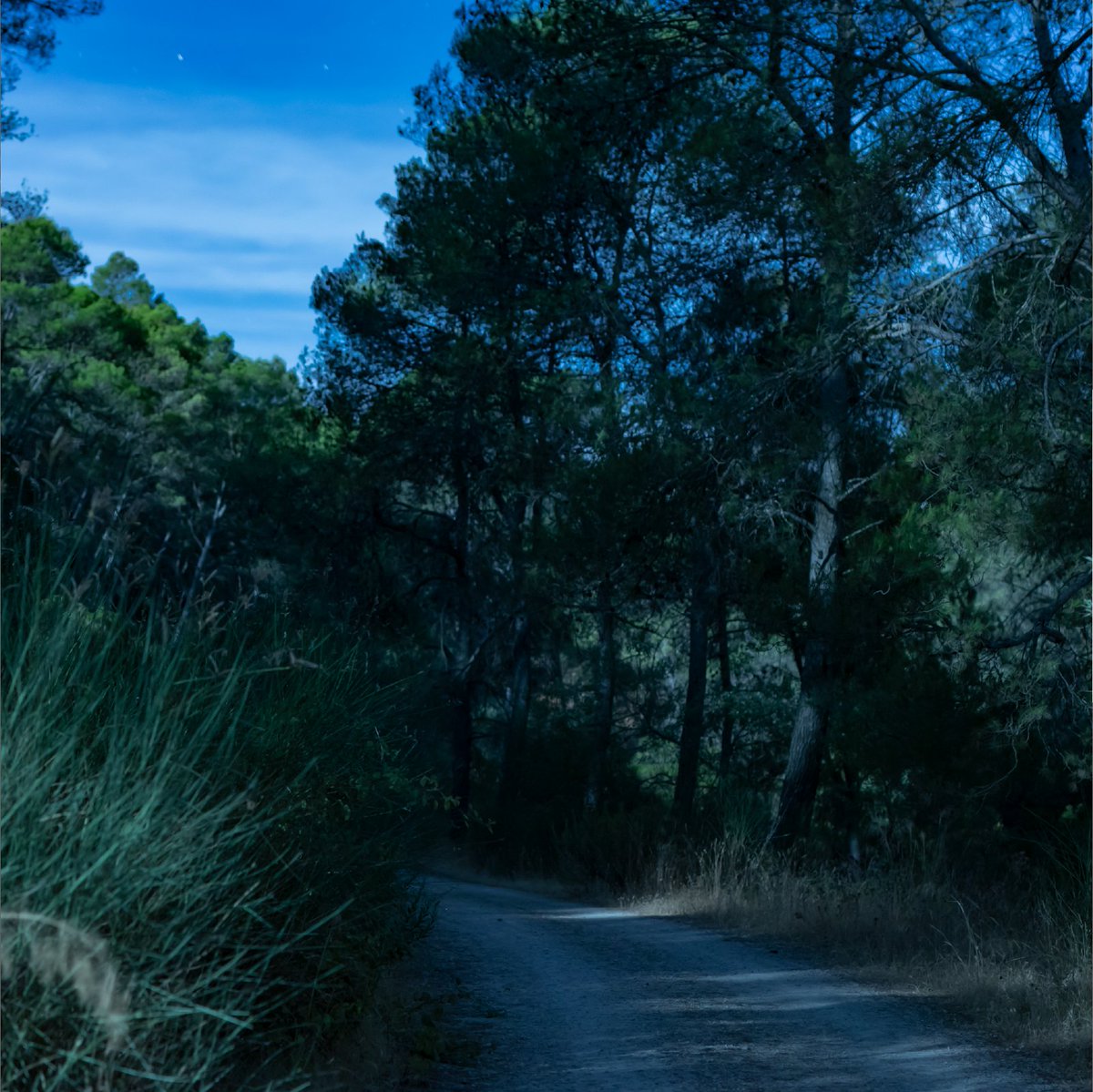 Rutas del PCC tweet media