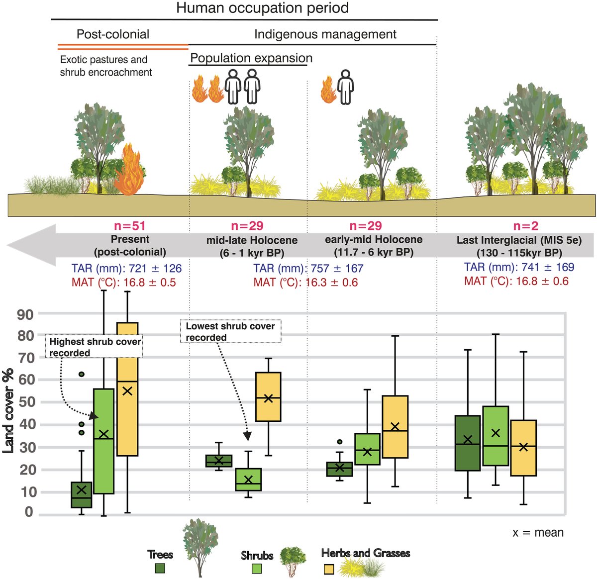 Indigenous burning practices in Australia once halved shrub cover, reducing available fuels and limiting wildfire intensity for thousands of years, but the removal of these practices following European colonization has led to an increase in the tinder that has fueled today’s