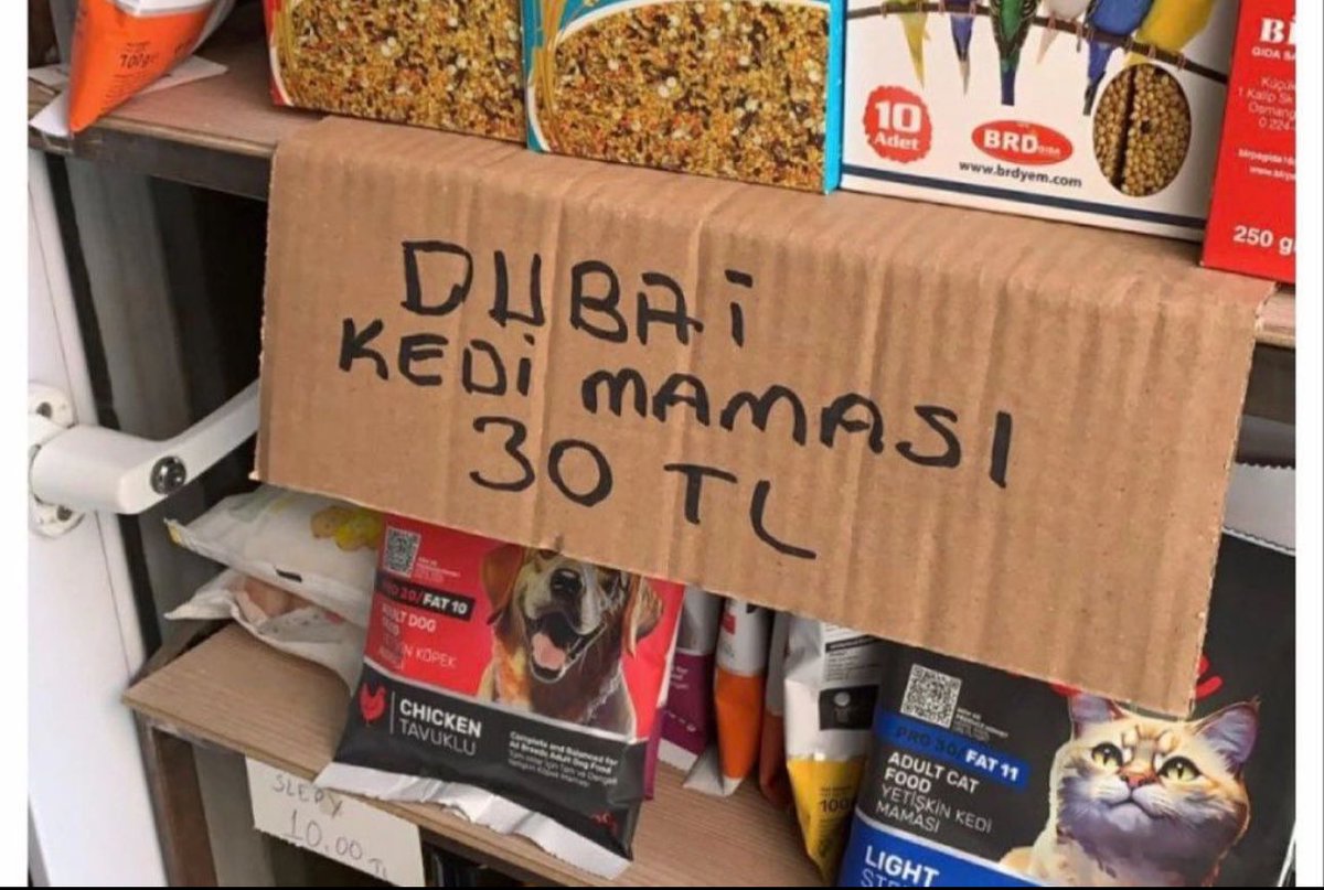 Popüler kültür nelere kadirsin 😂 Umarım tutar 🤷🏻‍♂️