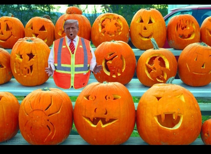 LGIpromo12's tweet photo. Happy Halloween https://t.co/dJ9Xpbt1kc