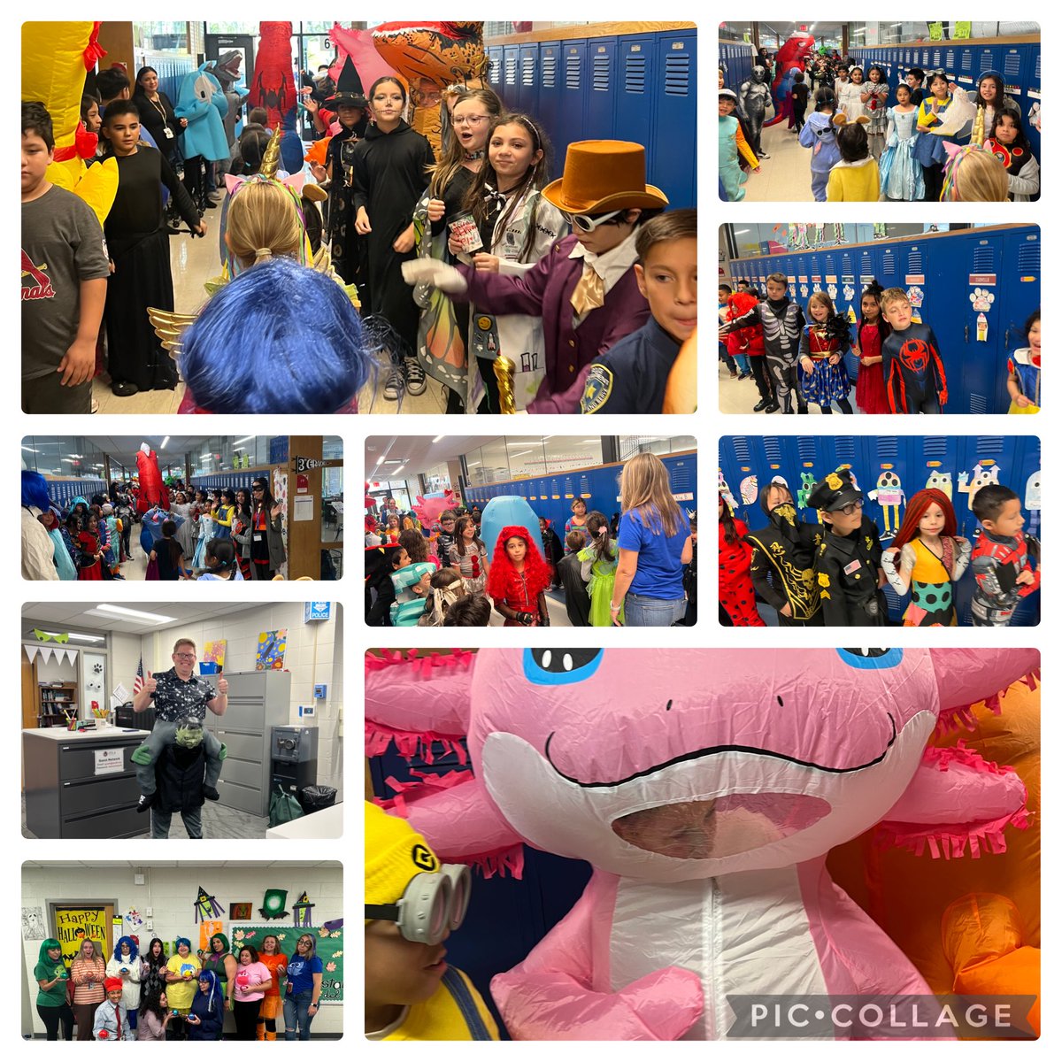 Happy Halloween from Fullerton! See the livestream of the parade and staff costume race at the following link. #TogetherWeRoar #GoLions  youtube.com/live/CGI-HxwYD…