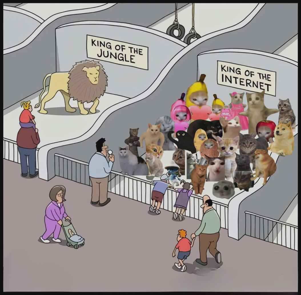 racing2remission tweet media