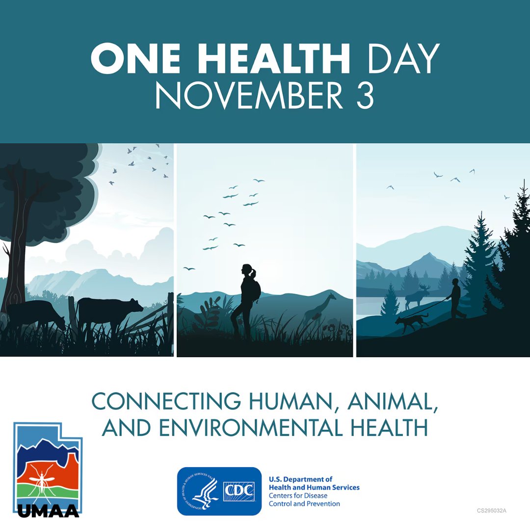 Have you heard of One Health? One Health is the idea that human, animal, and environmental health are closely connected. When we protect one, we help protect all. Tap the link to learn more. #OneHealth #OneHealthDay #PublicHealth #mosquitoes 
LINK: bit.ly/3ZUrXip