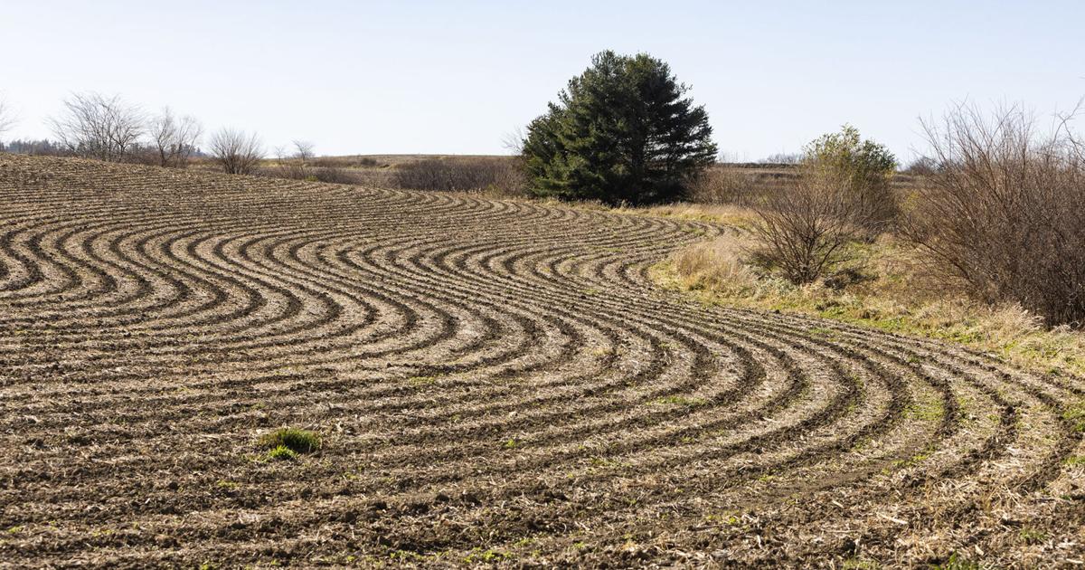 ILFarmRadio tweet picture