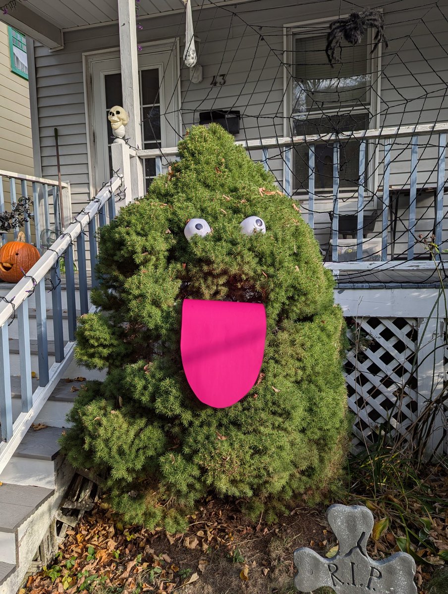 LOCAL SHRUBBERY HAS OPINIONS!!!