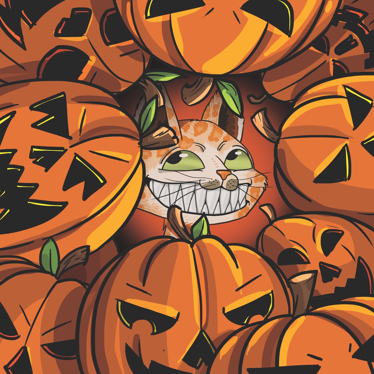 Jay B 😻🚀 tweet media