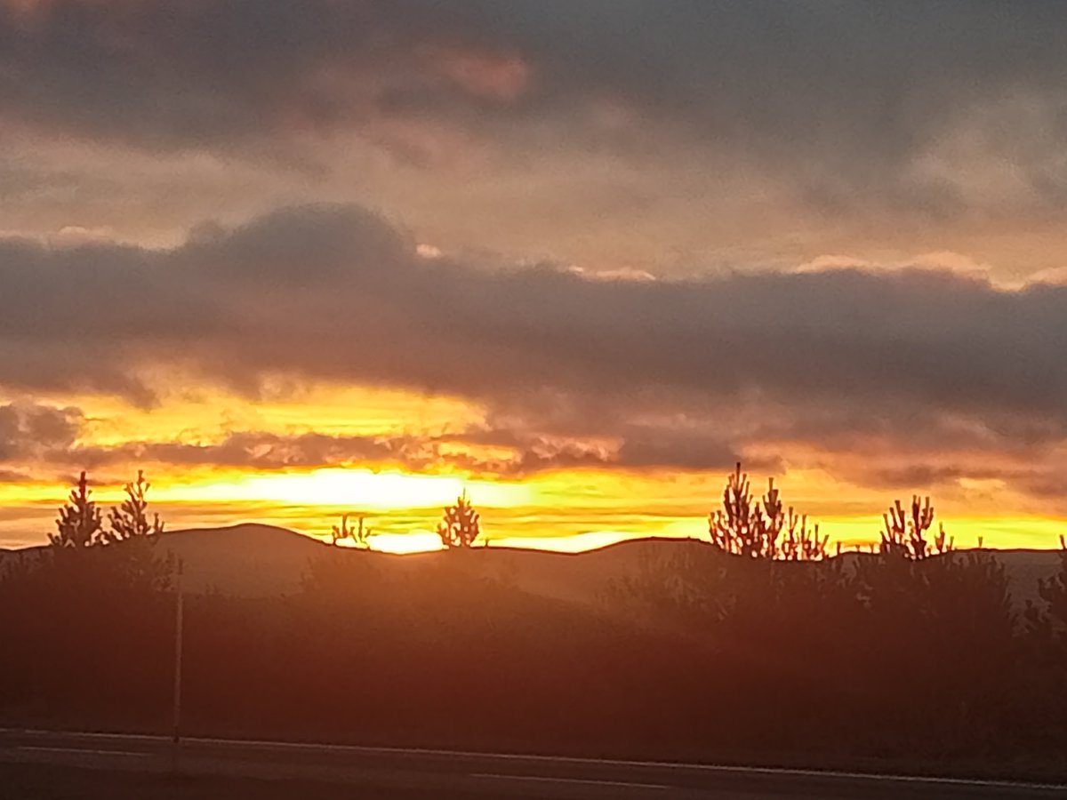 Mark Grant tweet media