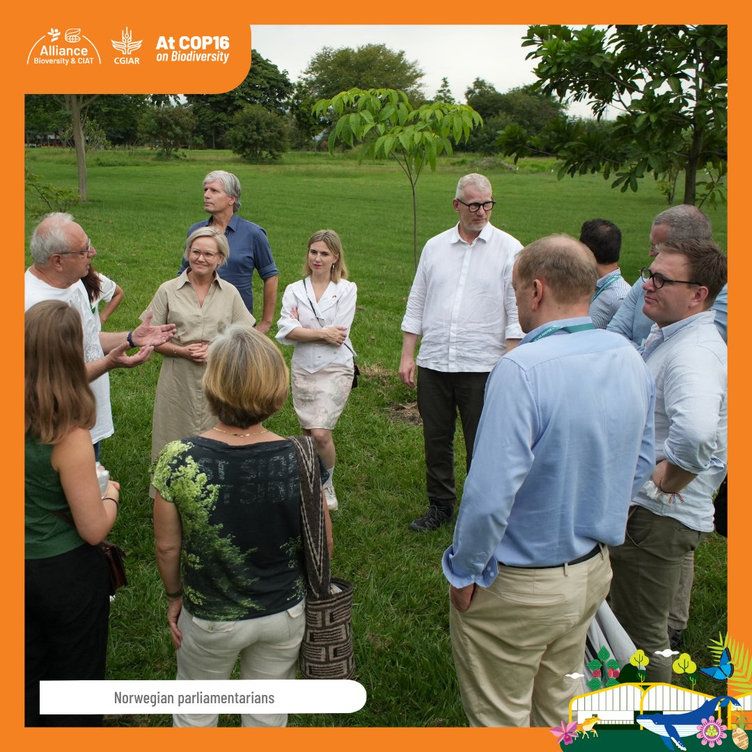 BiovIntCIAT_eng's tweet photo. Parliamentarians from #Norway, #Denmark and #Sweden visited our #FutureSeeds #seedbank and facilities on our Palmira campus, learning first hand about our #innovation in seed protection and dissemination, and how this relates to the #Svalvard seed vault in Norway. https://t.co/BiX573BdWr
