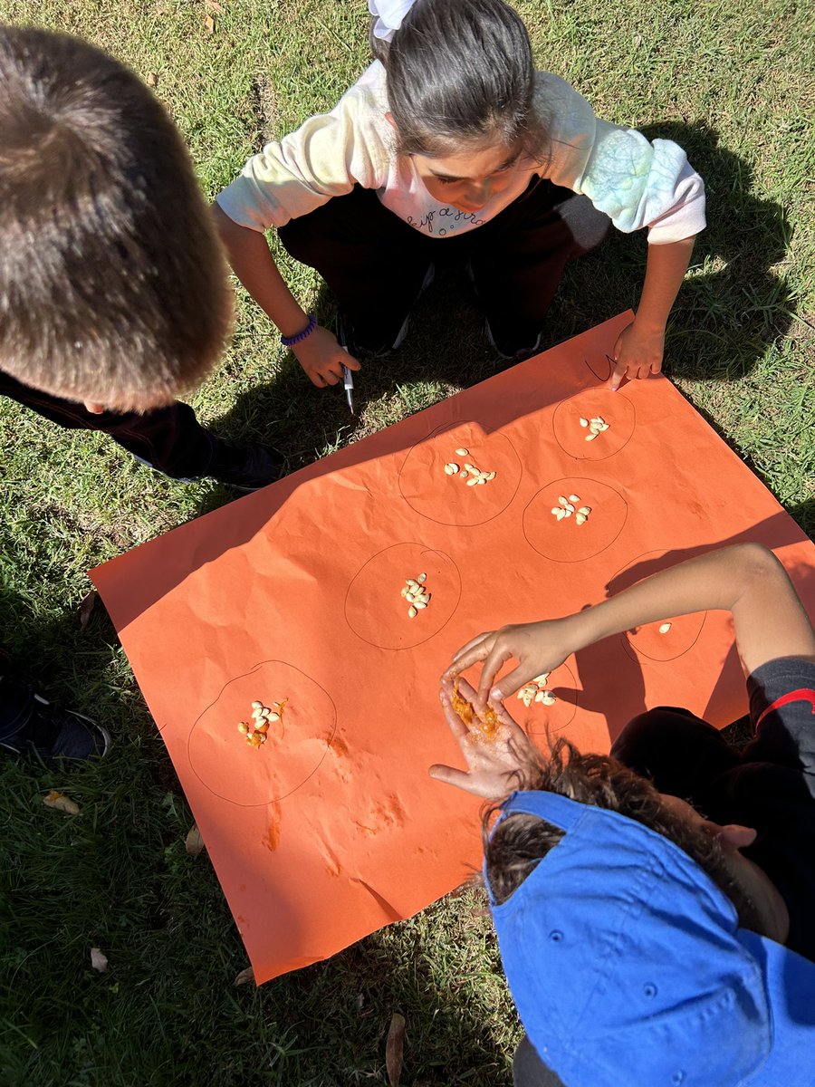 Stephanie Barker tweet media