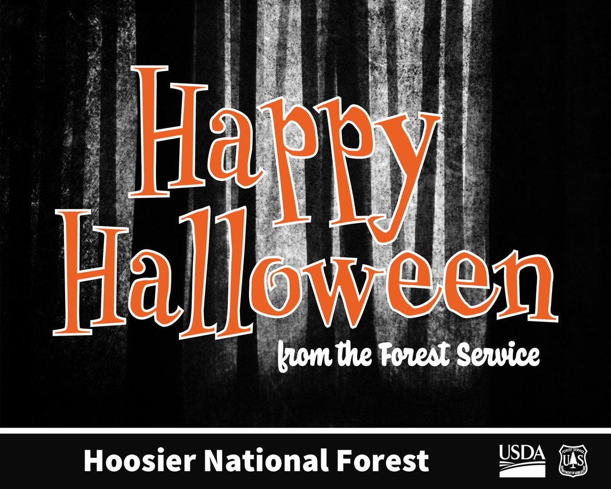 Hoosier National Forest tweet media