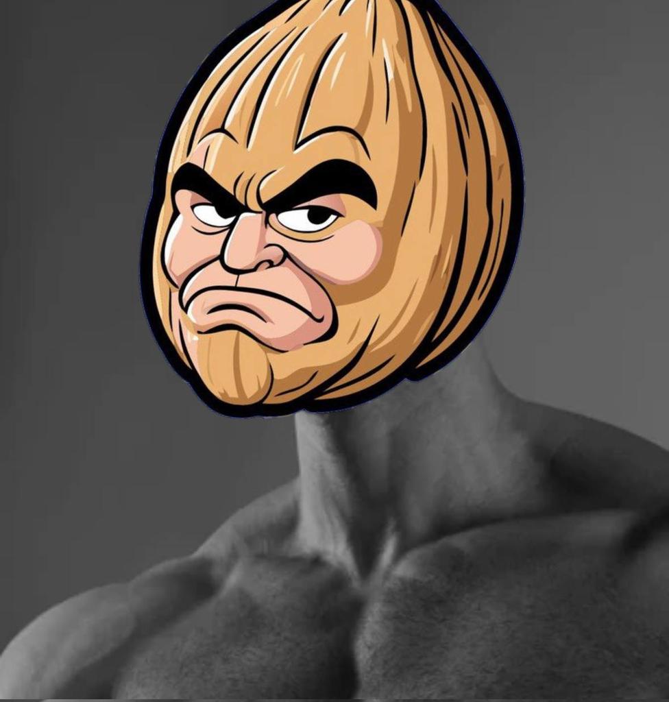 HuddsCrypto tweet media