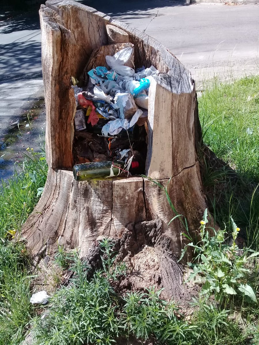 Gabriela Zallocco tweet media