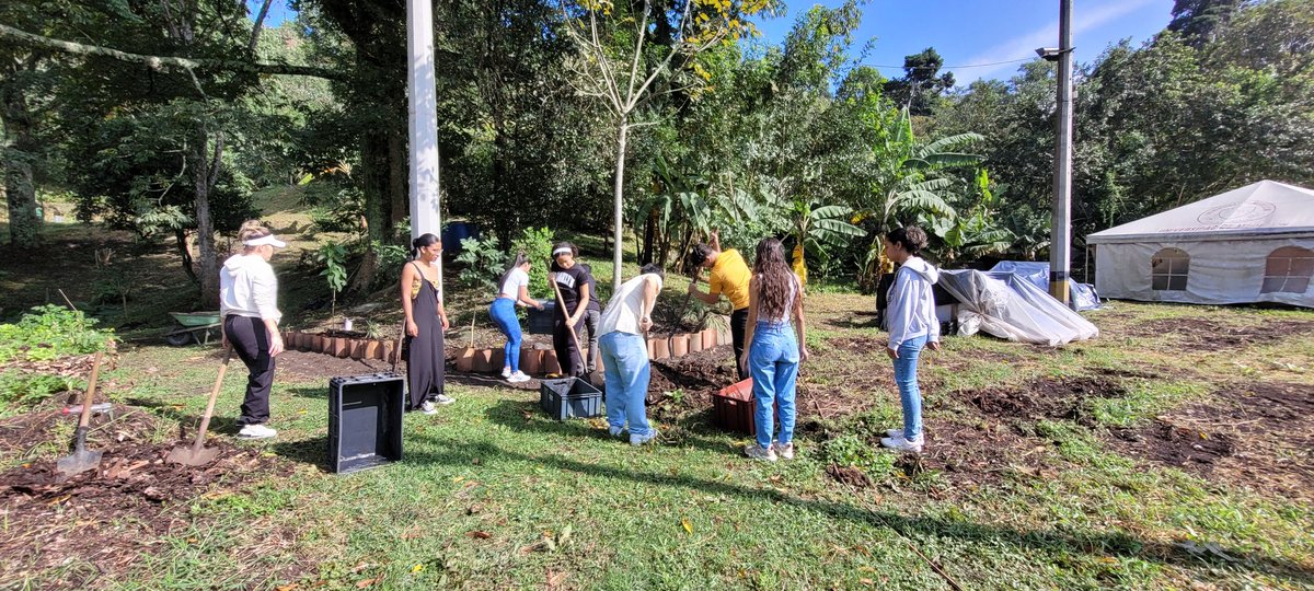 BelloAngelaG's tweet photo. Hoy la clase de Acción climática fue, en la reserva natural de  la @UdeMedellin_  . Realizamos siembra de arboles frutales y plantas ornamentales. Buscando que, nuestros estudiantes se apropien de los espacios de conservación de la UdeMedellin y compensen su Huella. https://t.co/oEfQfEzR0W