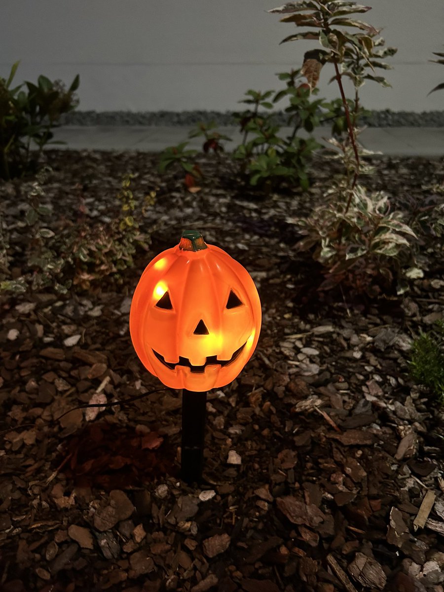 rence9's tweet image. Nedaudz bija arī mums ķirbiskais šodien. Un, par laimi, darbojās arī ārpusē atstātie saldumi (protams, ar regulāru uzpildīšanu, jo bērni nāca bariem vien).