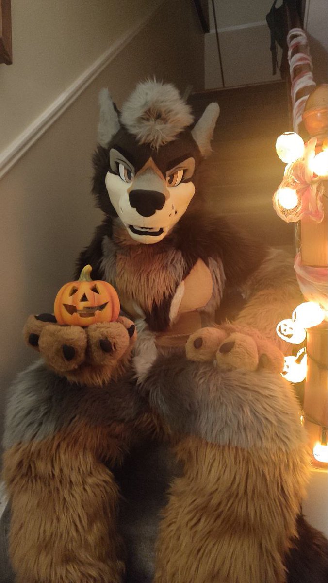 Swifty 🐺 🇵🇸 🔜 CFz tweet media