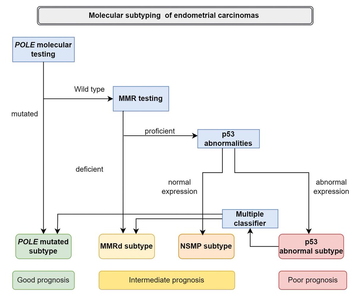 thejourneymate's tweet photo. Algorithm for the Molecular Subtyping of Endometrial Carcinomas and their Corresponding Prognosis 🔬

https://t.co/KEGTd07iWC https://t.co/q3ltzmSBGM
