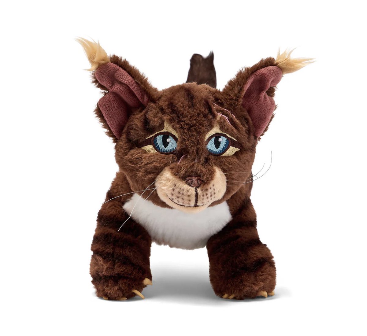 hollowsightt's tweet photo. this ain't hawkfrost it's hawktuah https://t.co/9RupQ4Crnh