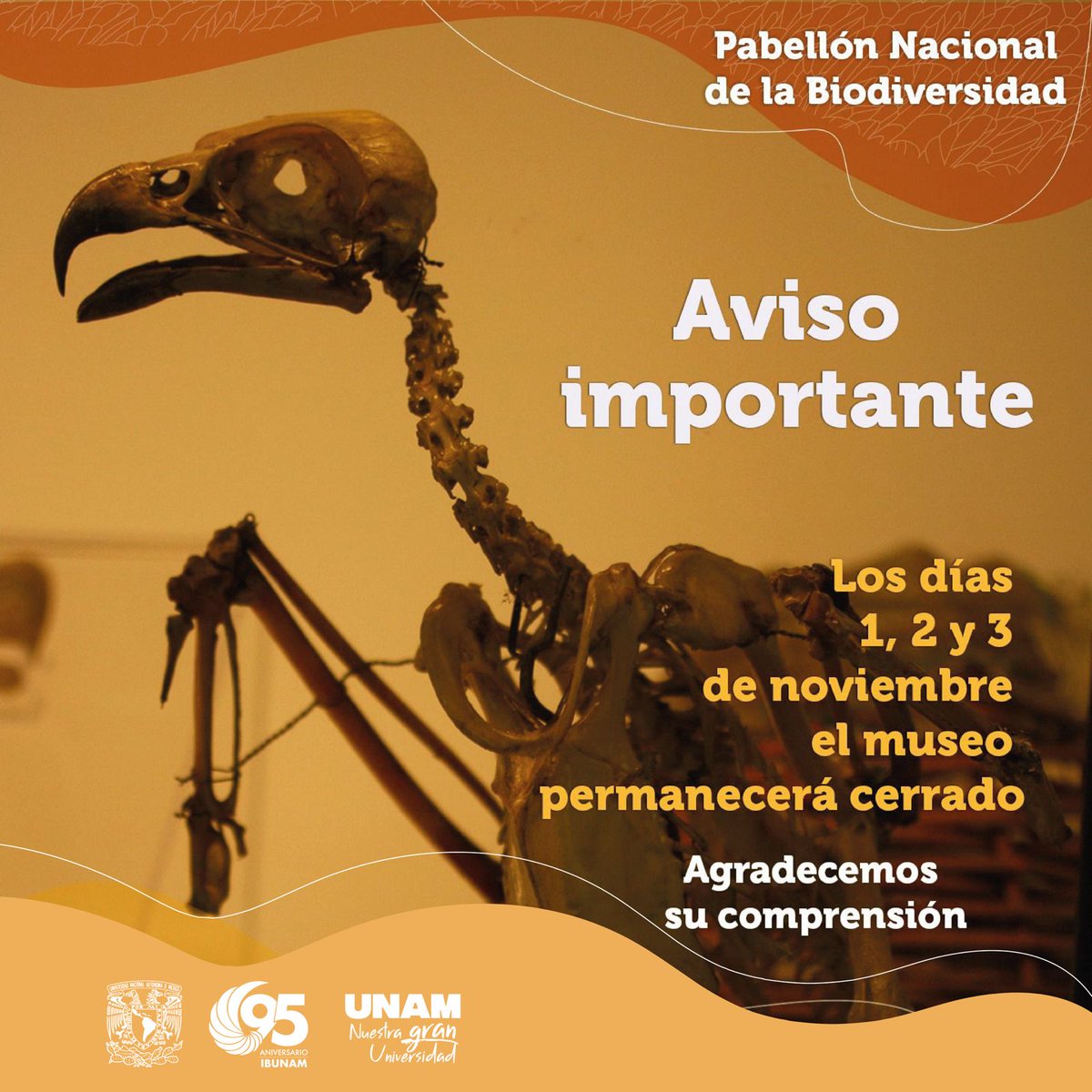 Pabellón Nacional de la Biodiversidad (@pabiounam) on Twitter photo 🔔 Aviso importante 🔔
El Pabellón Nacional de la Biodiversidad permanecerá cerrado los días 01, 02 y 03 de noviembre. Te esperamos el 05 de noviembre a partir de las 10:00 hrs, para seguir disfrutando de nuestras exposiciones y actividades 🌼💀 🔔 Aviso importante 🔔
El Pabellón Nacional de la Biodiversidad permanecerá cerrado los días 01, 02 y 03 de noviembre. Te esperamos el 05 de noviembre a partir de las 10:00 hrs, para seguir disfrutando de nuestras exposiciones y actividades 🌼💀