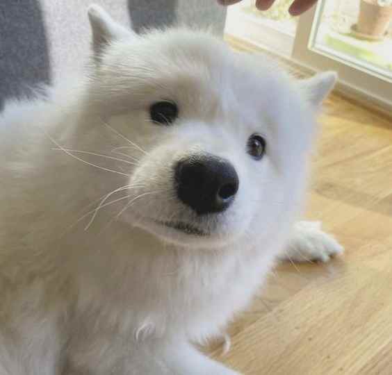 Resp3xt's tweet image. What's the scoop on Markuss?