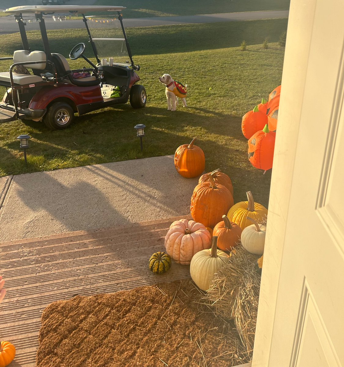 No snowsuits under the costumes this year.. what a day☀️! Happy Halloween!! 🧡