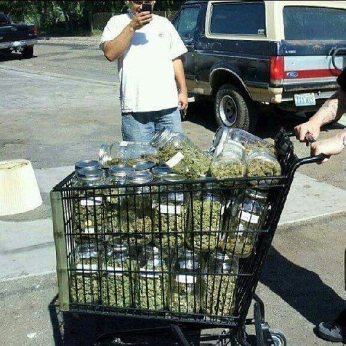 Me after going trick or treating at the dispensary