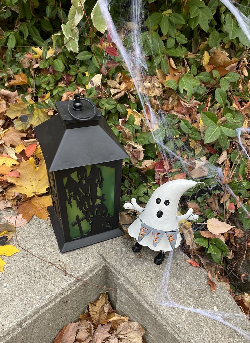 Wasn't sure where we'd be staying for Halloween, so just some last minute light cobweb decorating with a few ghost-y items we could find quick today! But we did make sure to carve pumpkins, that is the most important thing (and the candy, we did buy candy)! It's been fun!!!