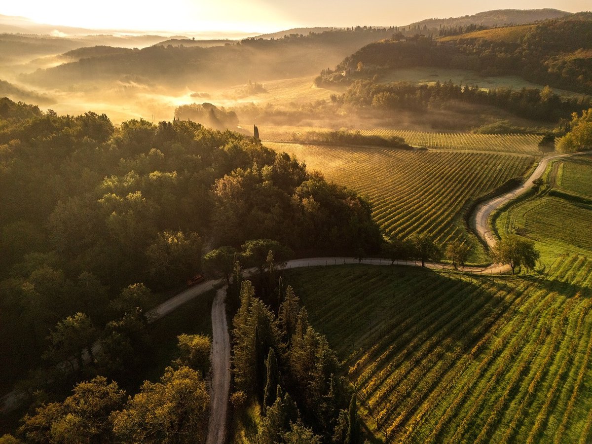 .. come fai poi a non amare il tuo lavoro? Sveglia presto la mattina per fare video e ti trovi davanti questo… il Chianti in autunno è magico. instagr.am/p/DBzT9AAuSPM/