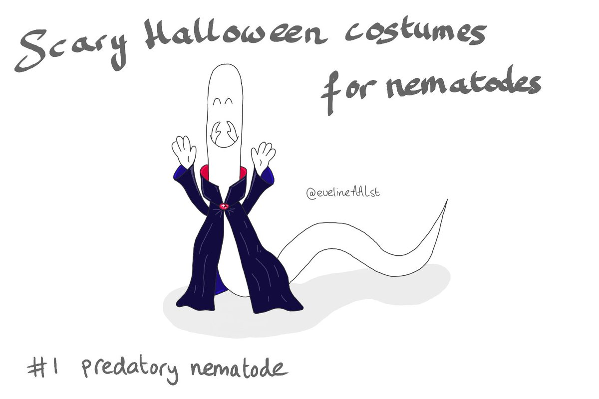 Happy Halloween! 🎃
