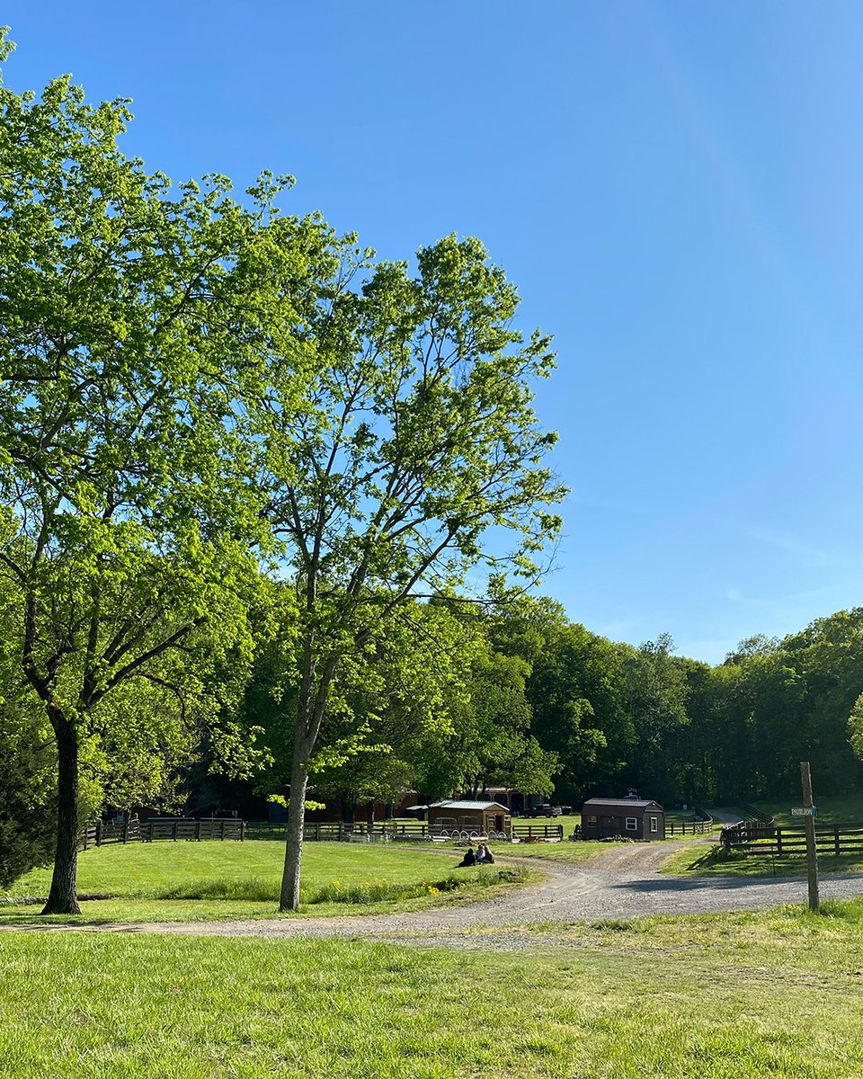 We're still not over the beautiful property we recorded our Night Vision album at! 🌾🐄

This beautiful farm belongs to the amazing Amy Grant - what a privilege it was to capture so many moments together here 🧡🌙