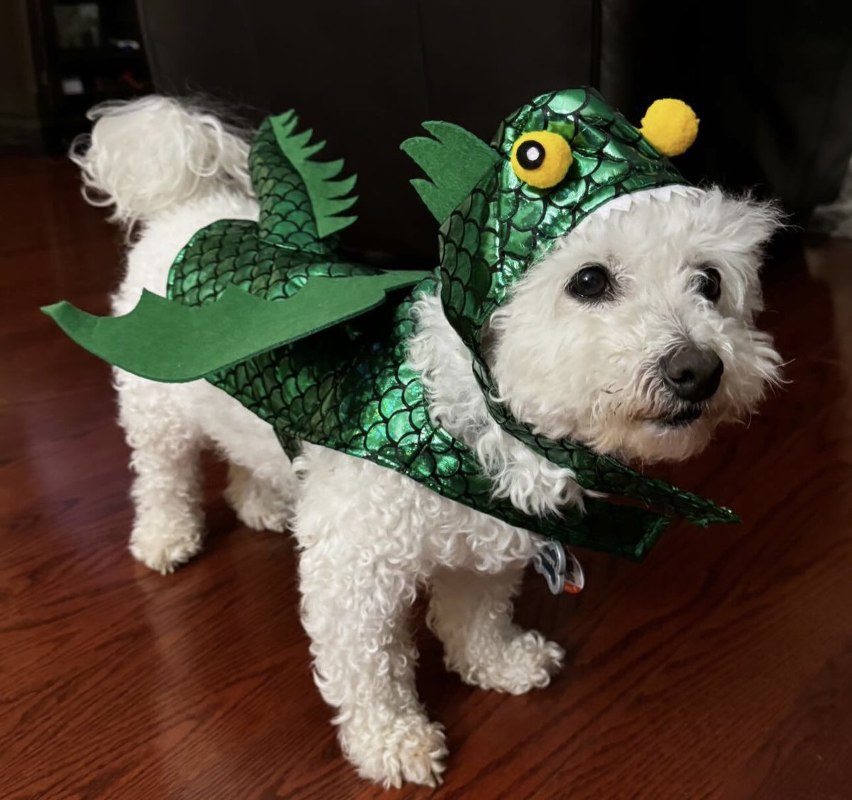 IulaP's tweet photo. Happy Halloween https://t.co/2pIai3yzg9