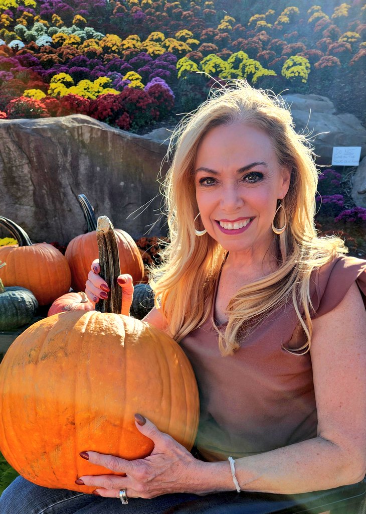 SheilaShowPHL's tweet photo. 🎃🎃🎃🎃🧡💛🤎
The perfect Fall activity for Halloween decorating. We took a visit to Ott's Exotic Plants with 9,000 colorful mums in Montgomery County. Soooo beautiful.
#MakeItMontco
#HappyHalloween https://t.co/yPm6kISCRq