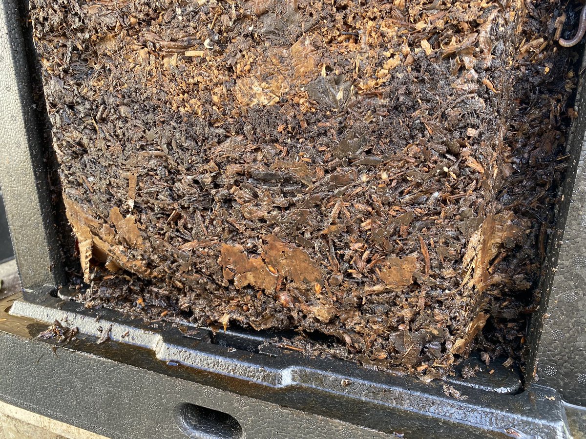 Briar Farm tweet media