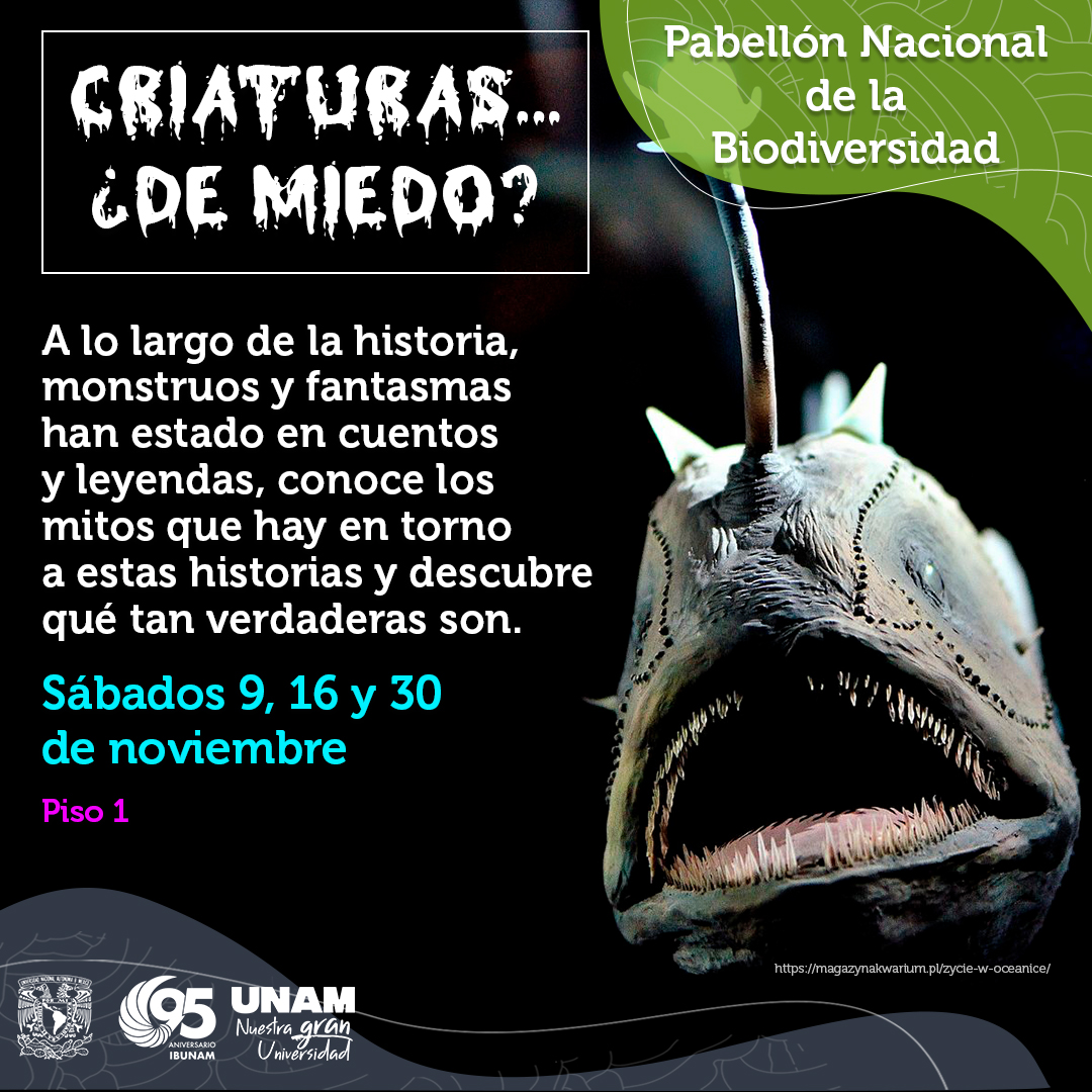 Pabellón Nacional de la Biodiversidad (@pabiounam) on Twitter photo 👻🦑 ¿Te has preguntado alguna vez si los monstruos y fantasmas de las leyendas son reales? ¡Es momento de averiguarlo! 😱😱😱
Acompáñanos los sábados 9, 16 y 30 de noviembre y conoce las historias detrás de las criaturas más temidas a lo largo del tiempo 🦇👹 👻🦑 ¿Te has preguntado alguna vez si los monstruos y fantasmas de las leyendas son reales? ¡Es momento de averiguarlo! 😱😱😱
Acompáñanos los sábados 9, 16 y 30 de noviembre y conoce las historias detrás de las criaturas más temidas a lo largo del tiempo 🦇👹