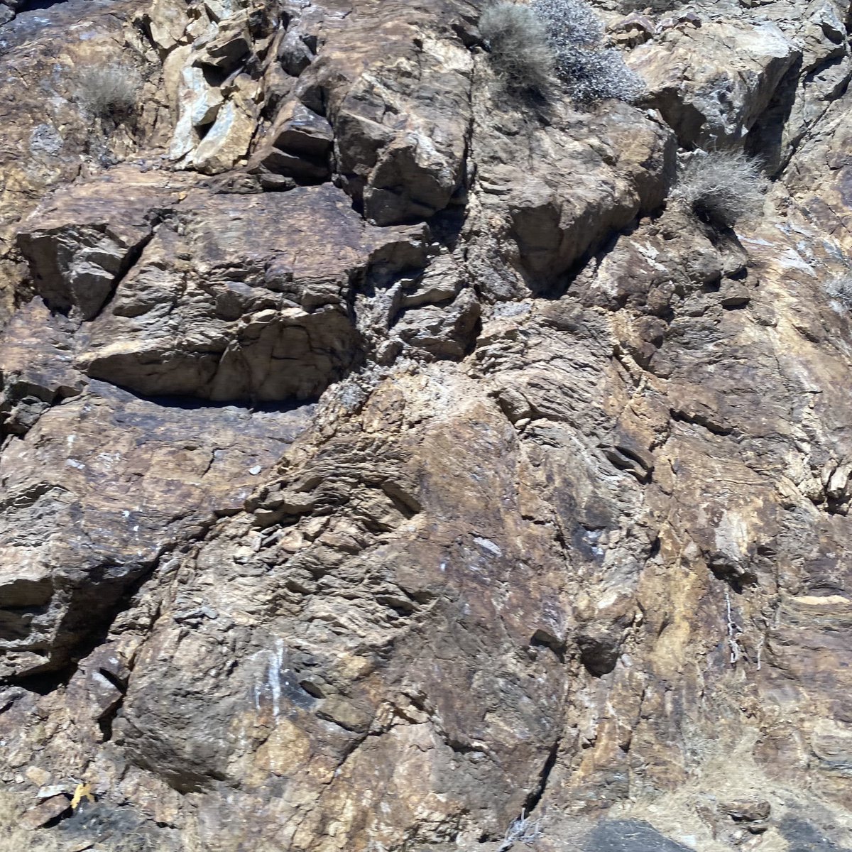 Felipe Orensanz (@felipeorensanz) on Twitter photo 