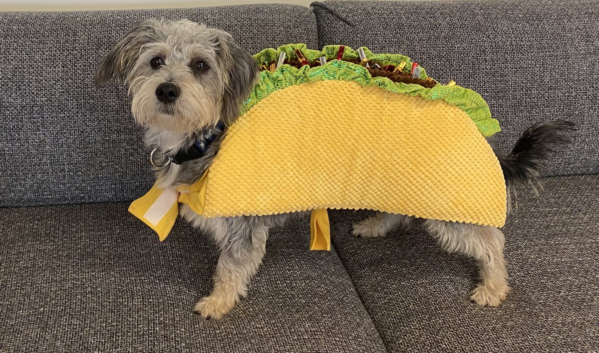 happy howl-o-ween from houston’s hottest, cutest and best taco 🎃👻🌮
