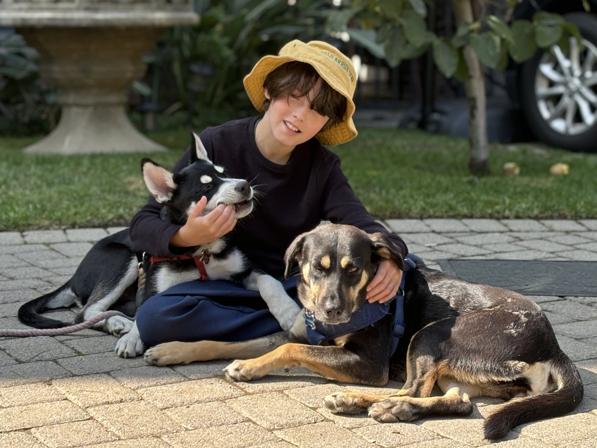 Al Franken tweet media